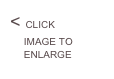 < CLICK                          
     IMAGE TO
     ENLARGE