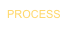 PROCESS
