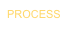 PROCESS
